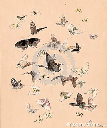 Watercolor butterflies and moths Stock Photo