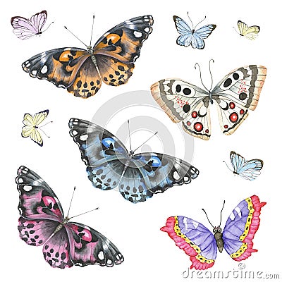 Watercolor butterfly set Stock Photo