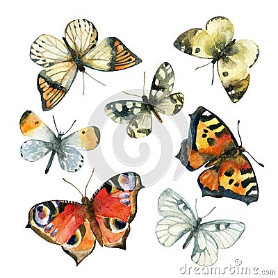 Watercolor butterfly set Stock Photo