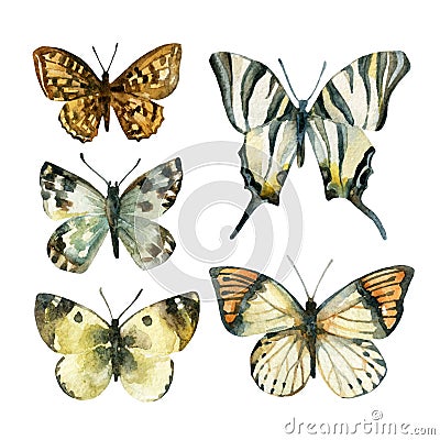 Watercolor butterfly set Stock Photo