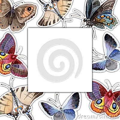 Watercolor butterfly tender insect, intresting moth, isolated wing illustration Cartoon Illustration