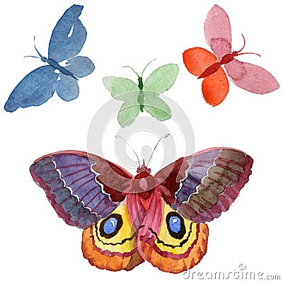 Watercolor butterfly tender insect, intresting moth, isolated wing illustration Cartoon Illustration