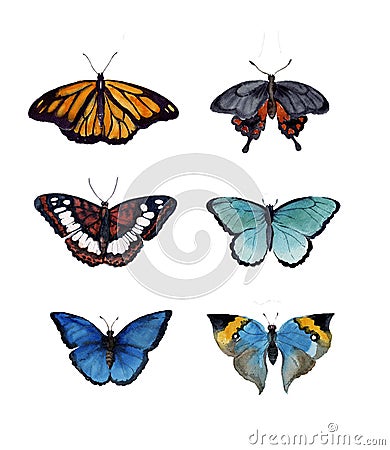 Watercolor butterflyes on the white background.es Stock Photo
