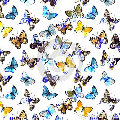 Watercolor butterflyes on the white background.es Stock Photo