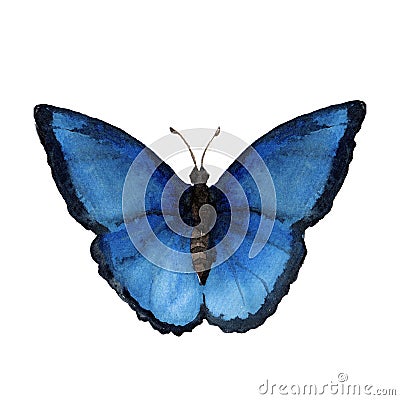 Watercolor butterflyes on the white background.es Stock Photo