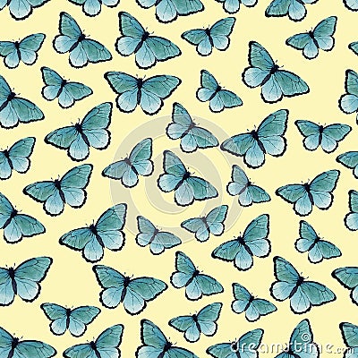 Watercolor butterflyes on the white background. Stock Photo