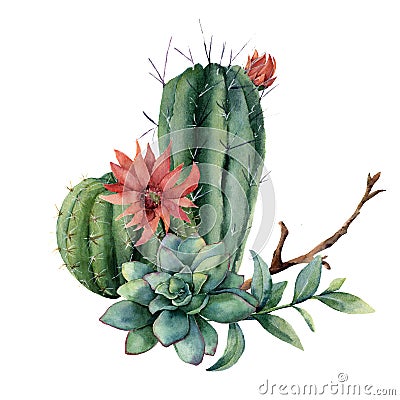 Watercolor cactus bouquet with eucalyptus leaves. Hand painted cereus, red flower, green succulent, feather and branch Stock Photo