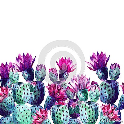 Watercolor cactus Cartoon Illustration