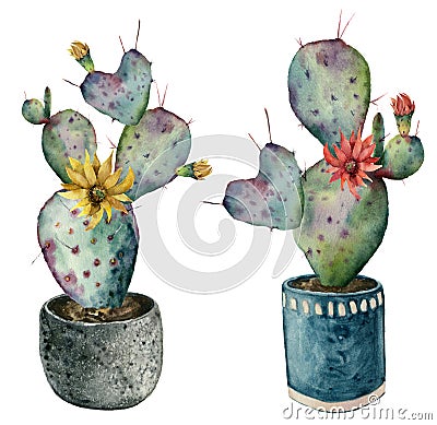 Watercolor cactus with flowers in a pot. Hand painted opuntia with red and yellow flowers isolated on white background Stock Photo