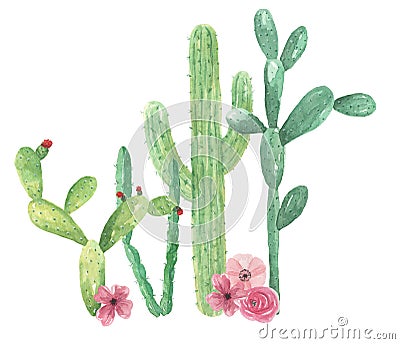 Watercolor Cactus Green Pink Flowers Cacti Arrangement Bouquet Stock Photo