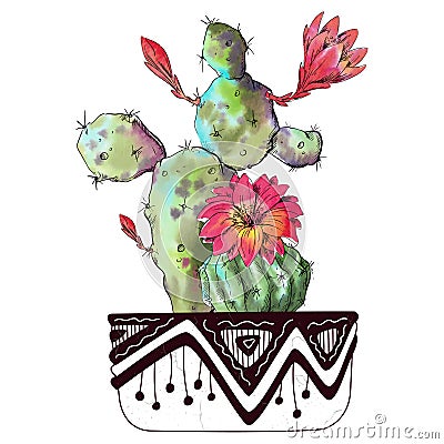 Watercolor cactus isolated on white background Cartoon Illustration