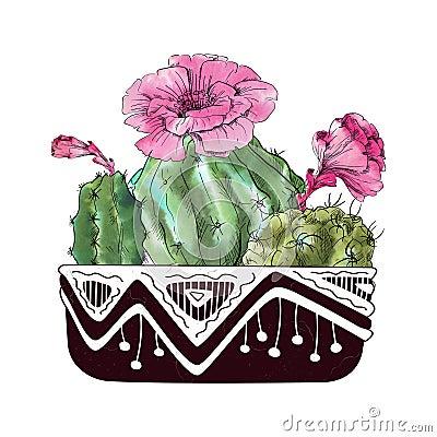 Watercolor cactus isolated on white background Cartoon Illustration
