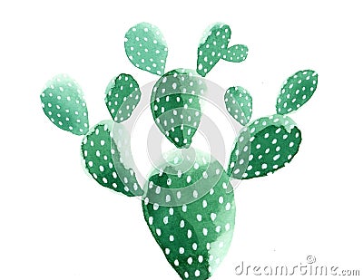 Watercolor Cactus painting. Opuntia `Pad Cactus`. Stock Photo