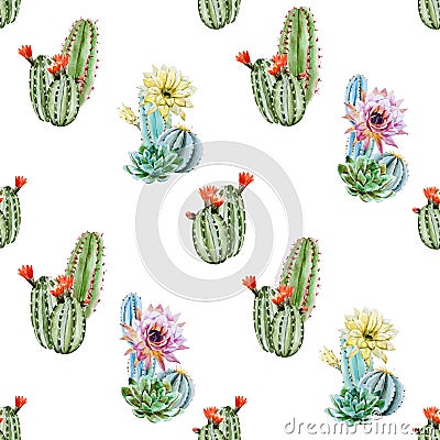 Watercolor cactus pattern Vector Illustration