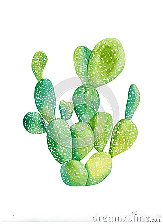 Watercolor cactus poster. Raster illustration. illustration for greeting cards, invitations, and other printing projects. on white Cartoon Illustration