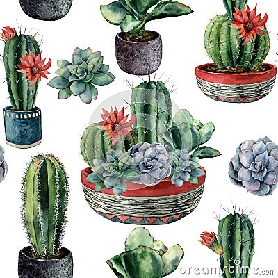 Watercolor cactus seamless pattern. Hand painted cereus, echeveria, echinocactus grusonii with green and blue succulent Stock Photo