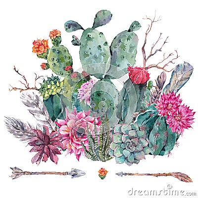 Watercolor cactus, succulent, flowers Stock Photo