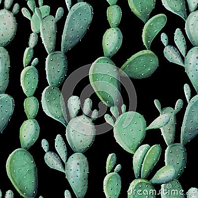 Watercolor cactus tropical garden seamless pattern. Watercolour cactus Stock Photo