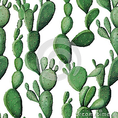 Watercolor cactus tropical garden seamless pattern. Stock Photo