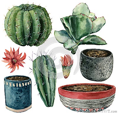 Watercolor cactuses, flowers, pot set. Hand painted cereus, echeveria and echinocactus grusonii with red and yellow Stock Photo