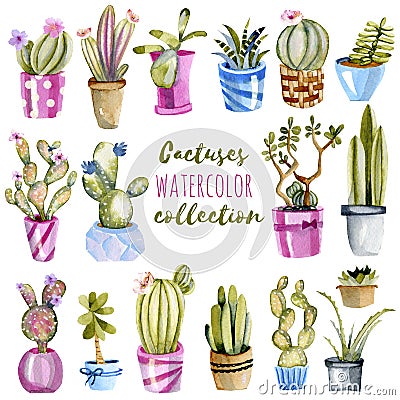 Watercolor cactuses in a pots illustrations set Cartoon Illustration