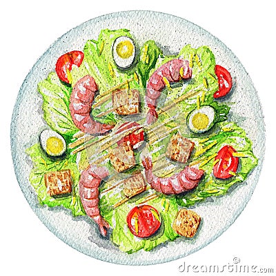 Watercolor caesar salad on a plate with eggs, shrimp, crackers a Cartoon Illustration