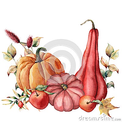 Watercolor card with autumn harvest. Hand painted pumpkins, apples, dogroses with leaves and branches isolated on white Cartoon Illustration