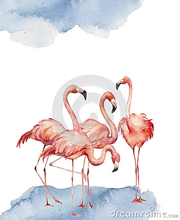 Watercolor card with dancing flamingo. Hand painted print with exotic bird isolated on white background. Tropical Cartoon Illustration