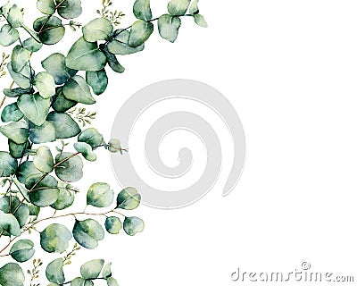 Watercolor card with eucalyptus bouquet. Hand painted eucalyptus branches and leaves isolated on white background Cartoon Illustration