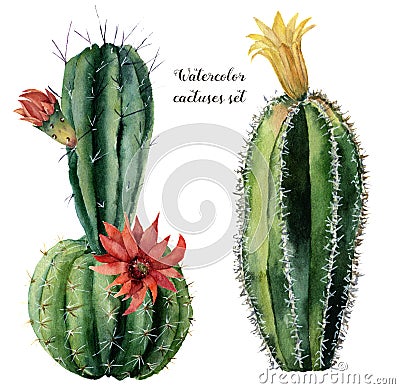 Watercolor card with green cactus and flowers. Hand painted cereus with red and yellow flower isolated on white Stock Photo