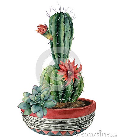 Watercolor card with green cactus and flowers in a pot. Hand painted cereus with red flower and green succulent isolated Stock Photo