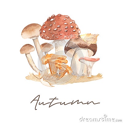 Watercolor card with mushrooms, autumn season, harvest, fly agaric, chanterelles, white mushroom Stock Photo