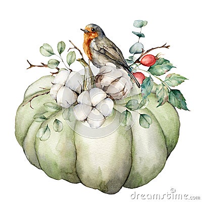 Watercolor card with robin redbreast, cotton, pumpkin and eucalyptus leaves. Hand painted bird and gourd isolated on Cartoon Illustration