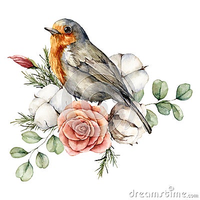 Watercolor card with robin redbreast, cotton, rose and eucalyptus leaves. Hand painted bird and flowers isolated on Cartoon Illustration