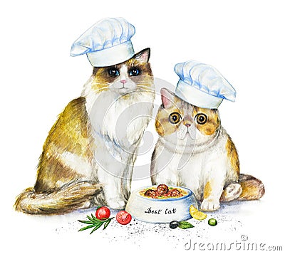 Watercolor card with two cats in chef`s caps, bowl with food and Cartoon Illustration
