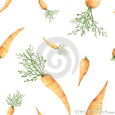 Watercolor carrot seamless pattern. Fresh vegetable for fabric Stock Photo