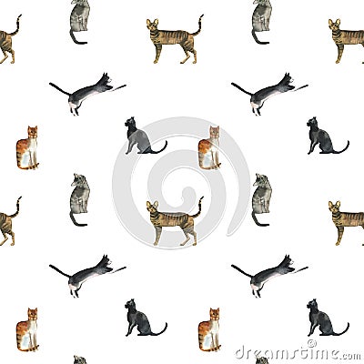 Watercolor cats pattern on white background Stock Photo