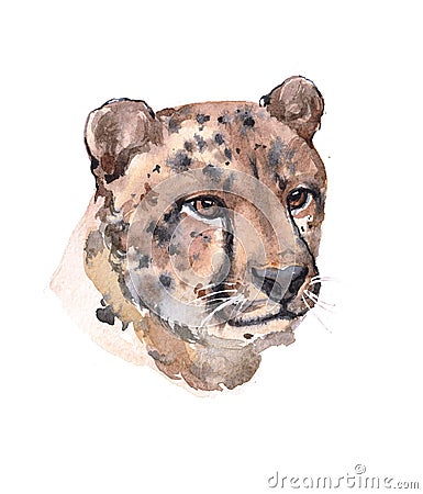 Watercolor cheetah animal Cartoon Illustration