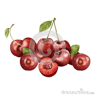 Watercolor of cherry set Stock Photo