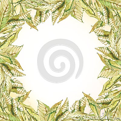 Watercolor chestnut green leaves square frame Stock Photo