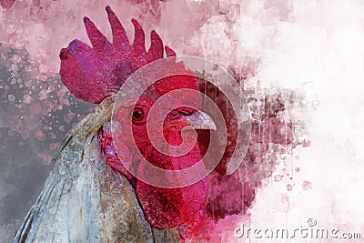 Watercolor Chicken. Hand drawn watercolor for design greeting card or print Stock Photo