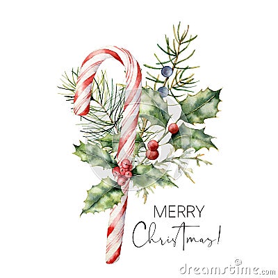 Watercolor Christmas cane with decor. Hand painted cane, striped lollipop, fir branch, holly and juniper isolated on Cartoon Illustration