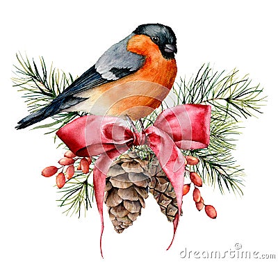 Watercolor Christmas card with bullfinch and winter design. Hand painted bird with pine cones, red bow, berries, fir Stock Photo