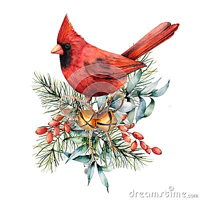 Watercolor Christmas card with red cardinal and winter plants. Hand painted bird with bells, holly, red bow, berries Stock Photo