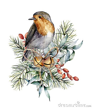 Watercolor Christmas card with robin, bells and winter design. Hand painted bird with eucalyptus leaves, golden bells Stock Photo