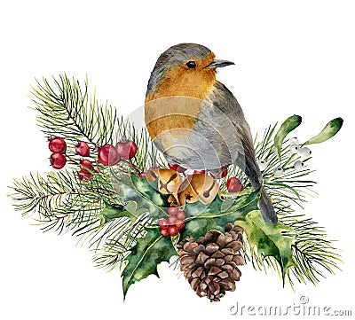 Watercolor Christmas composition with bird. Hand painted robin with fir and berry branch, mistletoe, holly, pine cone Stock Photo