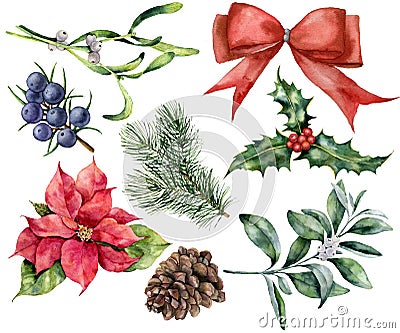 Watercolor Christmas decor set with plant. Hand painted red ribbon, poinsettia, holly, mistletoe, pine cone, juniper and Stock Photo