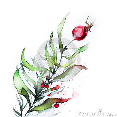 Watercolor Christmas hand-drawn illustration of red berries branch.Watercolor Christmas hand-drawn illustration. Mistletoe branch Cartoon Illustration