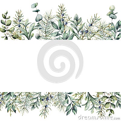 Watercolor Christmas plants banner. Hand painted juniper, snowberry, fir and eucalyptus branch isolated on white Cartoon Illustration