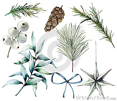 Watercolor Christmas plants and decor. Hand painted fir branches, eucalyptus leaves, white berries, star, fir cone, bow Cartoon Illustration